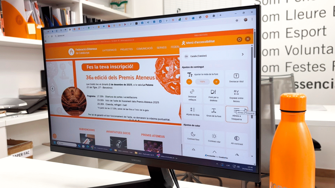 Com podem fer la nostra pàgina web més accesible?