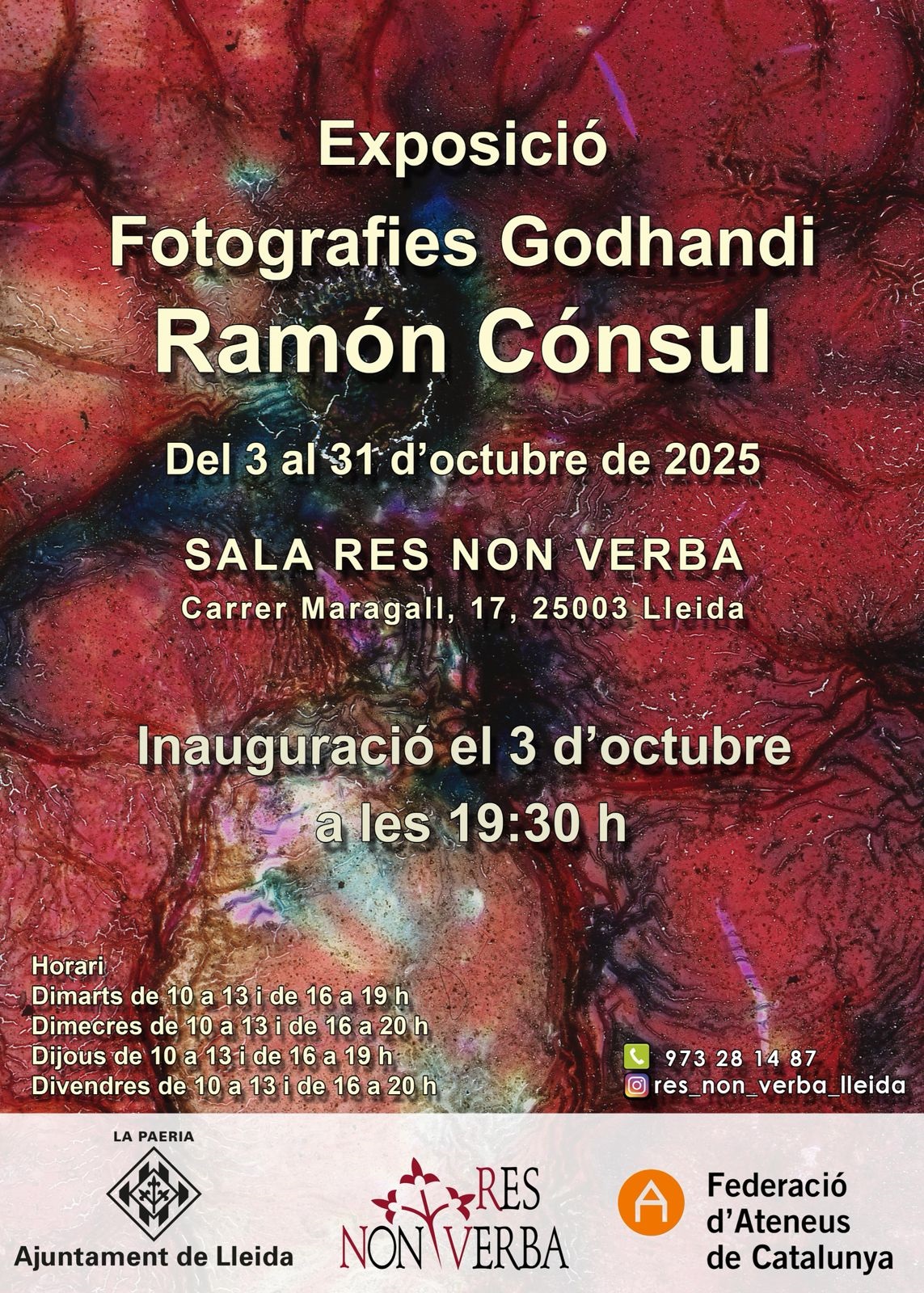Descripción de la imagen