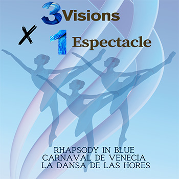 Descripción de la imagen