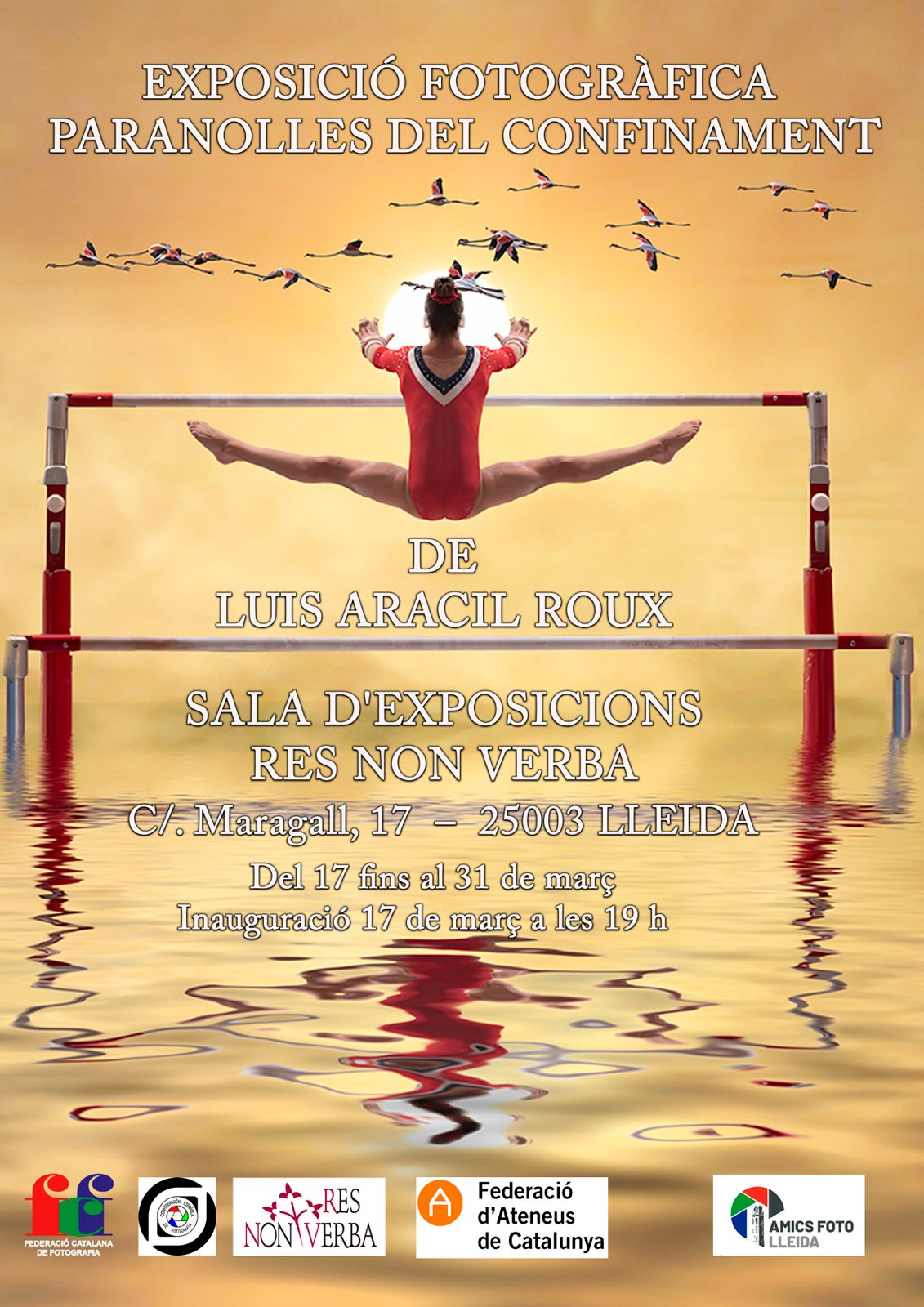 Descripción de la imagen