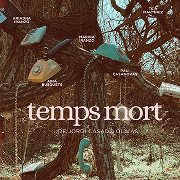 Descripción de la imagen