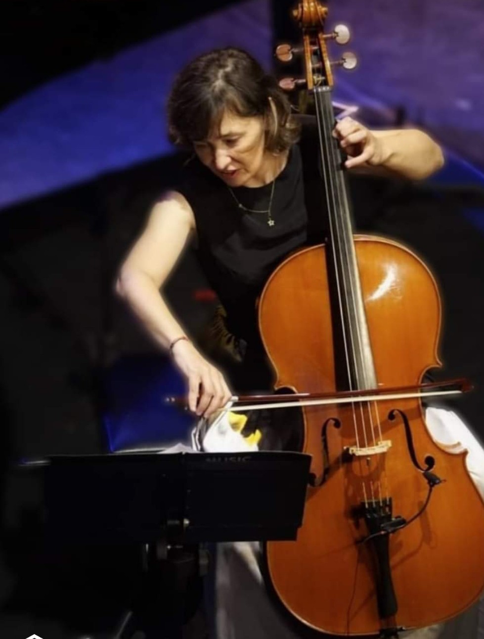 Descripción de la imagen