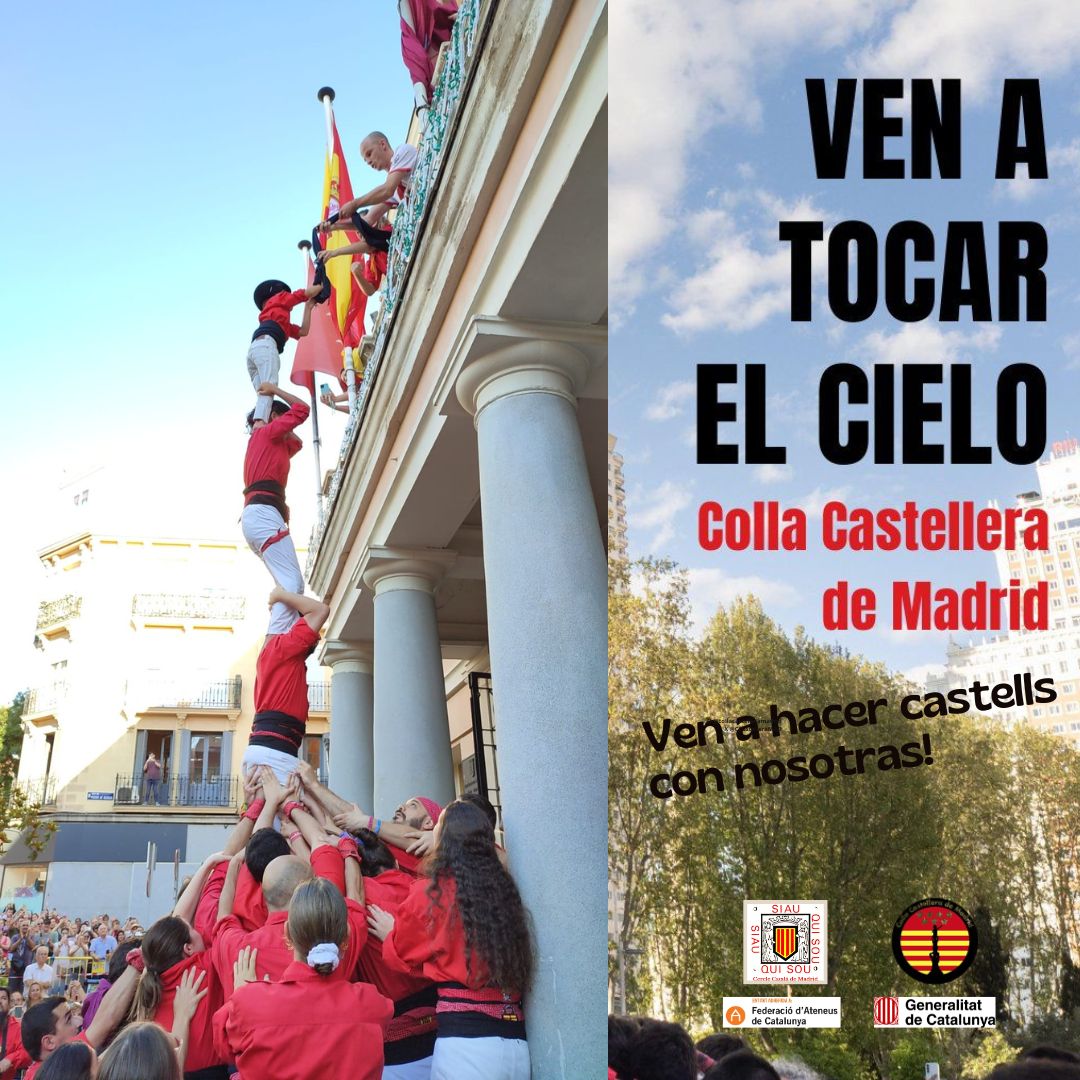 Descripción de la imagen